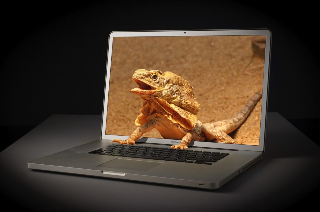 Photoshop - Intensivkurs